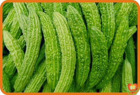 蔬菜配送-食材采（cǎi）購-苦瓜