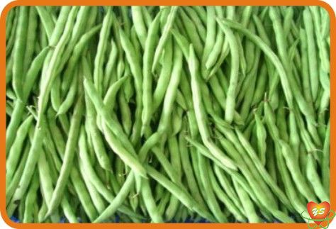 蔬菜配（pèi）送-食材采（cǎi）購-四季豆