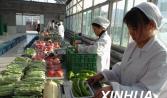 遠盛餐飲為您提供潮南企業食堂承包，蔬菜配送一（yī）站式平台