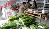 蔬（shū）菜配送及（jí）時提升食堂品質 選專業性強食堂承包（bāo）更放心