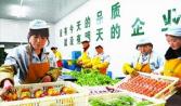 汕頭有哪些蔬菜配送（sòng）公司怎樣選擇好