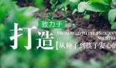 汕頭（tóu）遠盛餐飲以標準化打造（zào）蔬菜配送樣本（běn）