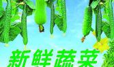 一直致力於滿足人民群眾日益增長的美好生活（huó）需（xū）要，堅持著做生鮮（xiān）行（háng）業的‘初心’，努力打造著食材配送行業標準。
